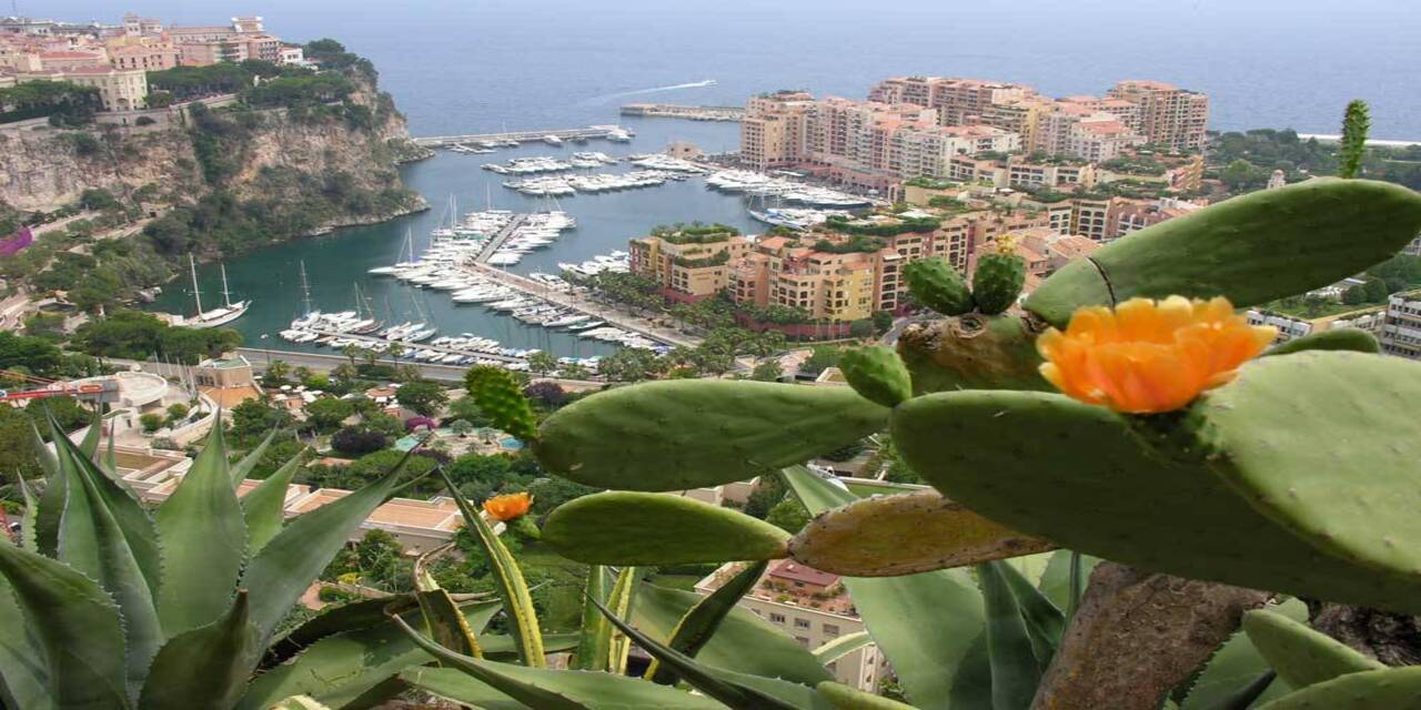 monaco3